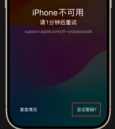 杭州苹果手机密码维修分享iPhone忘记了刚设置的密码 